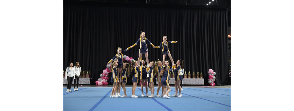 LENAPE VALLEY CHEER SQUAD